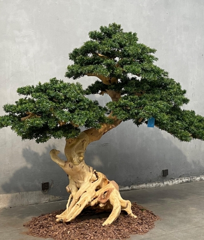 仿真树