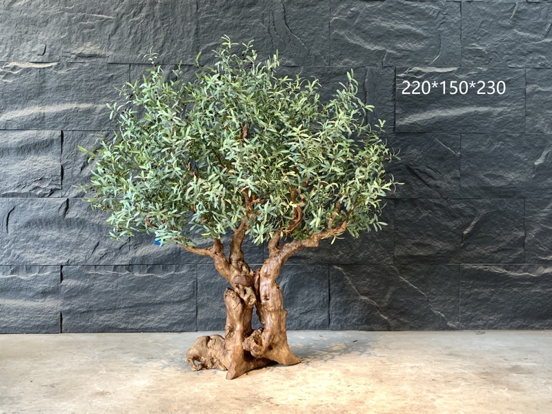 Simulated olive tree on stone-texture backdrop