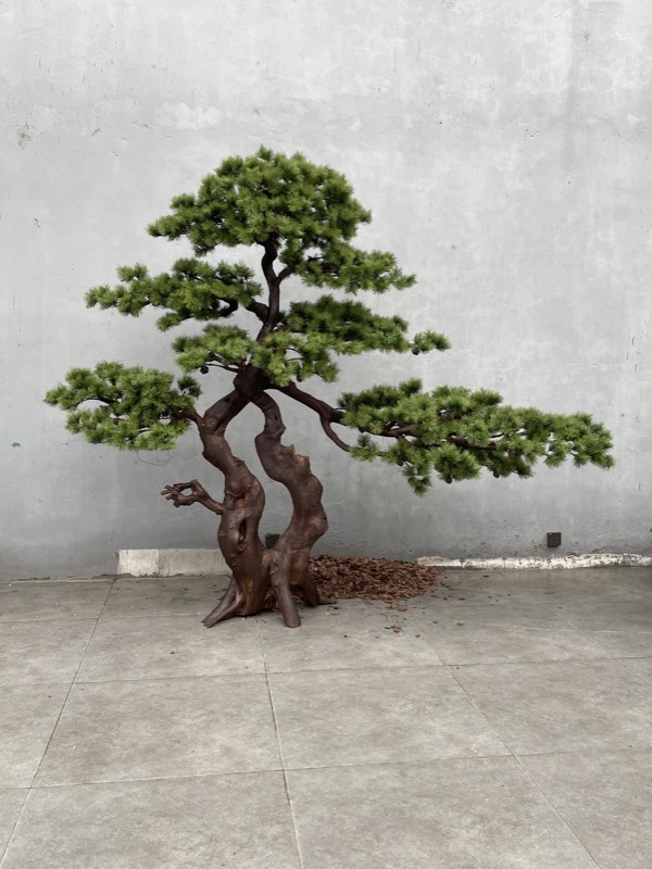 Cloud-pruned simulated pine bonsai