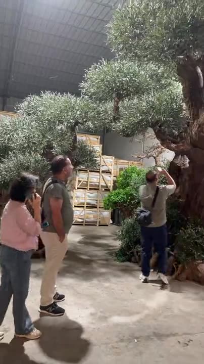 Indoor greenery landscape