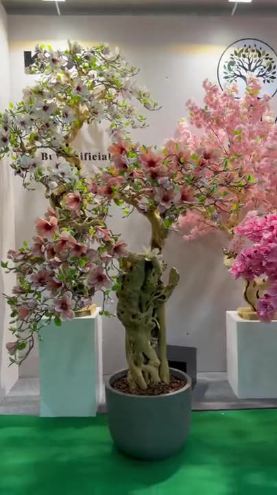 Blossom trees in a showroom