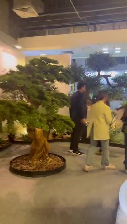 Large artificial banyan