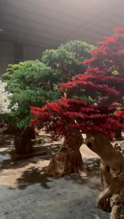 Flowering blossom tree
