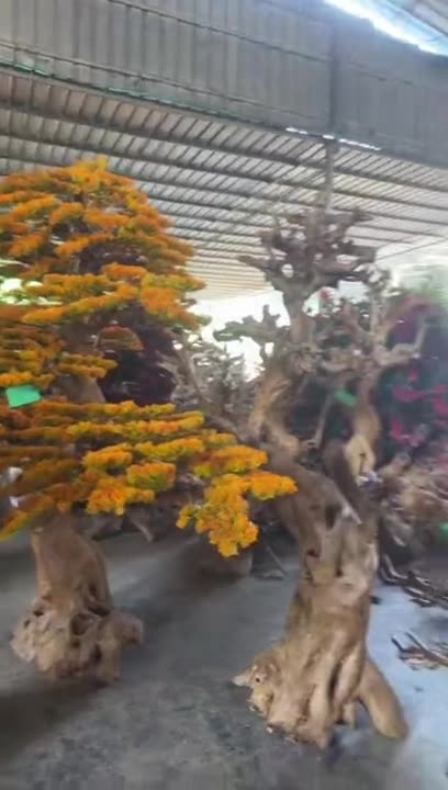 Sculpted rootwood tree